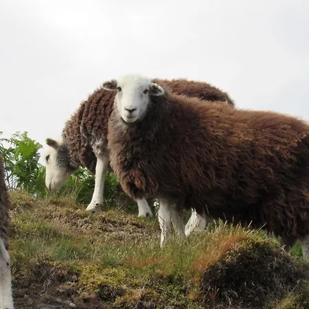 On The With Log Burner - Dog Friendly בית נופש *